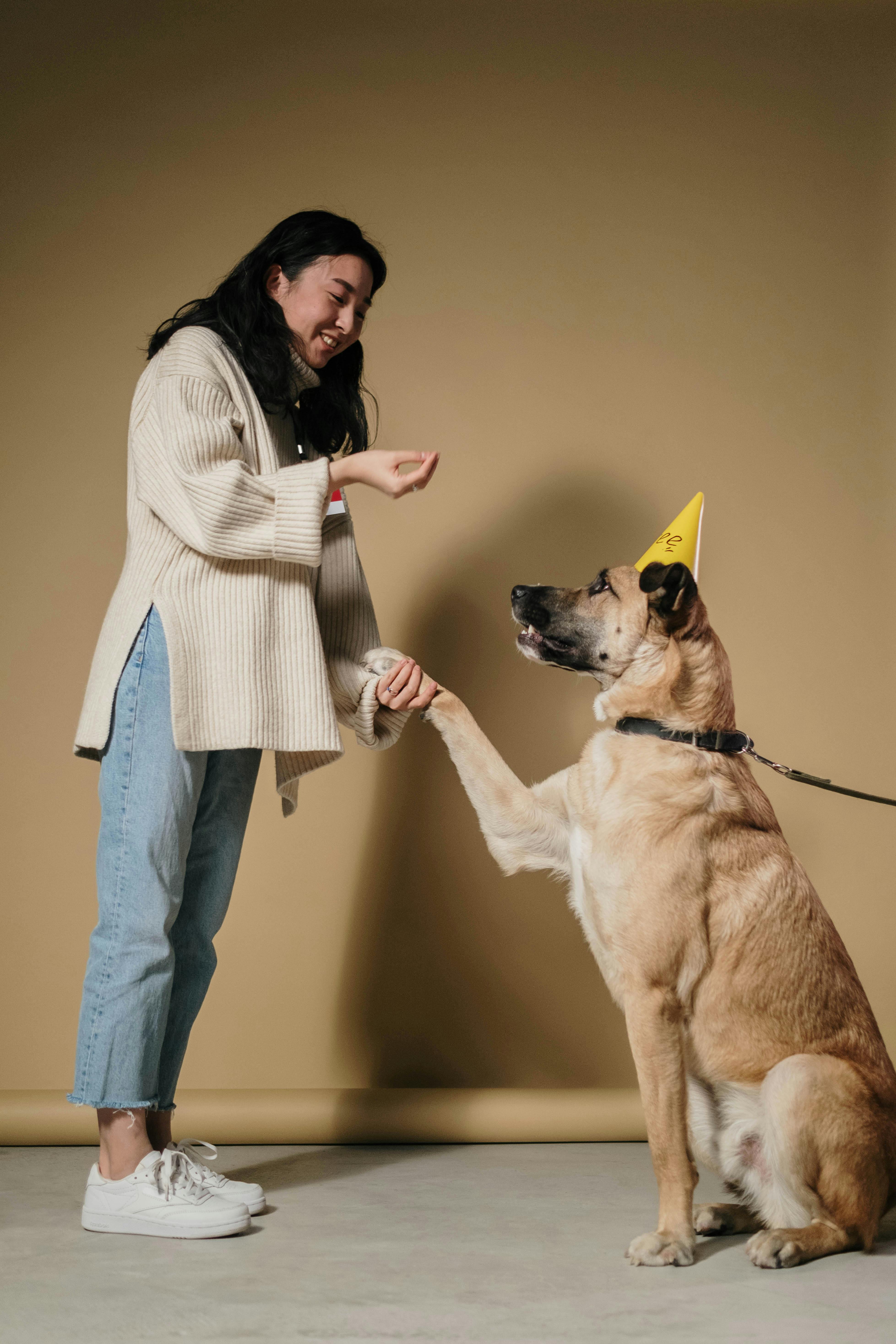 How to Care for Your Dog: A Comprehensive Guide